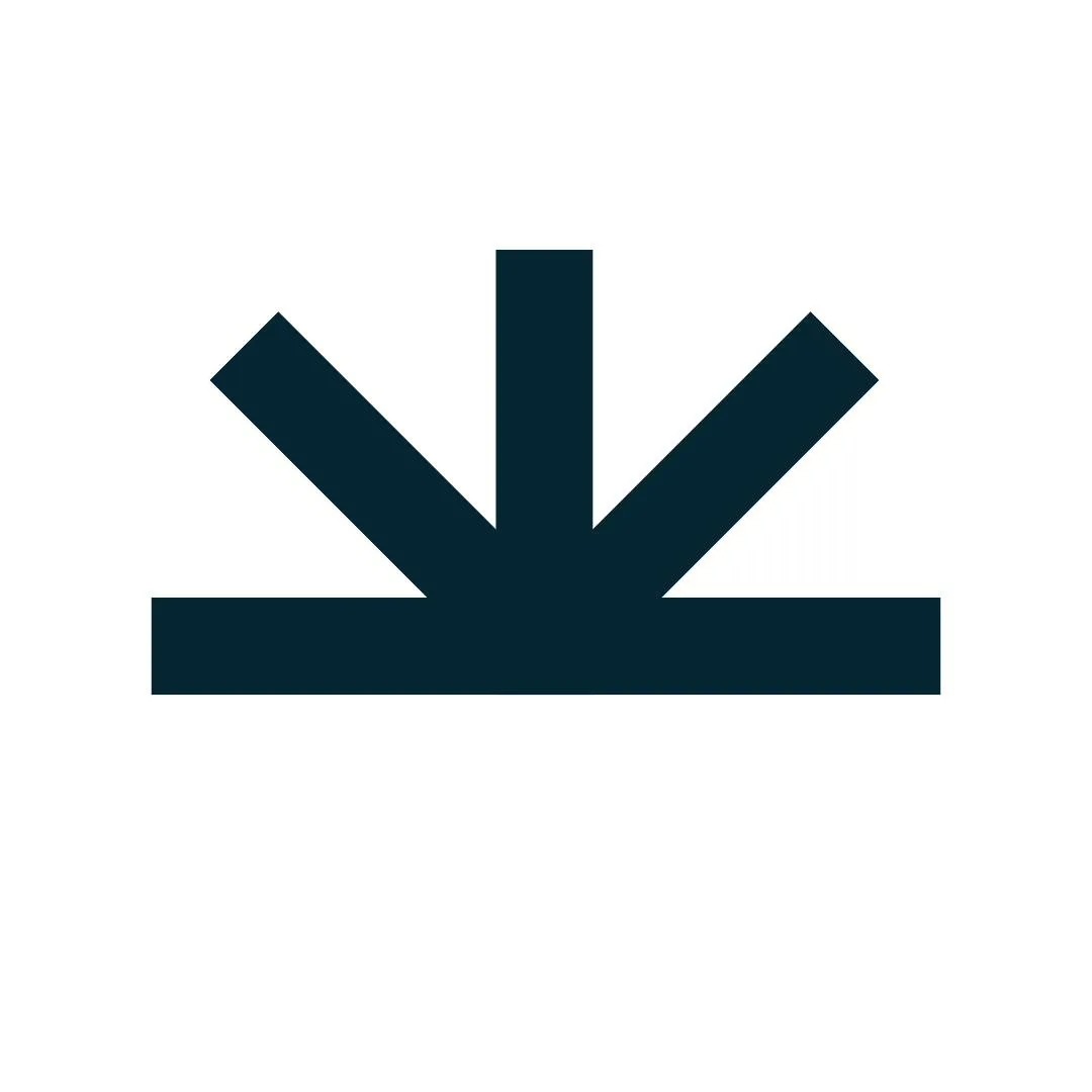 A Life Without Blemish