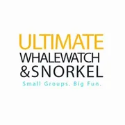 Ultimate Whalewatch & Snorkel Logo