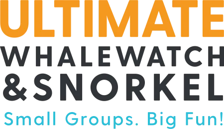 Ultimate Whalewatch & Snorkel logo