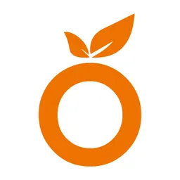 Unternehmer ORANGE