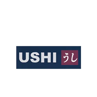 USHI RE FI LLC logo