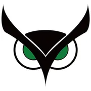 Usnighthawk Logo