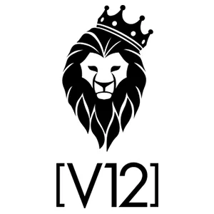 v12golf.com logo