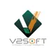 V2Soft Inc logo