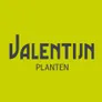 Logo Valentijn planten