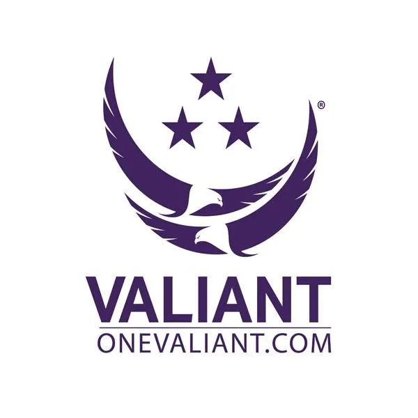 Valiant Integrated Services logo