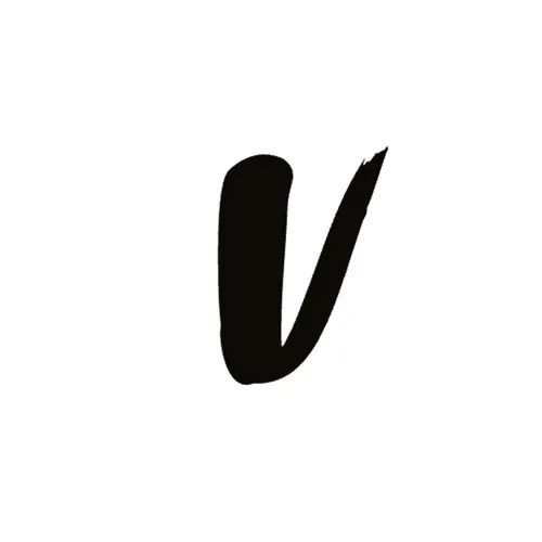Valid logo