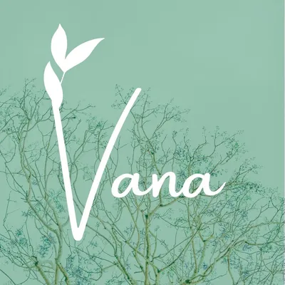 ANDVIG YOGASERVICE