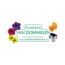 Logo Kwekerij van Dommelen