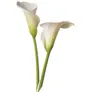 Logo Bloembinderij Van Duyvenbode