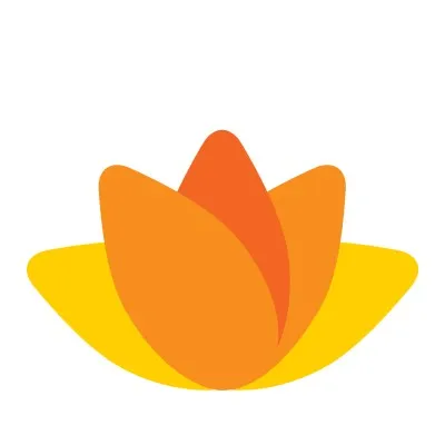 Vanna Health Inc logo