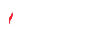 Vapebest light logo