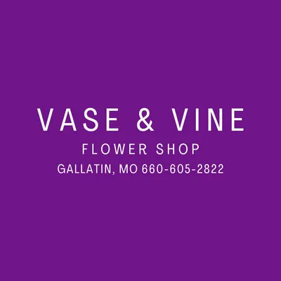 Vase  Vine logo