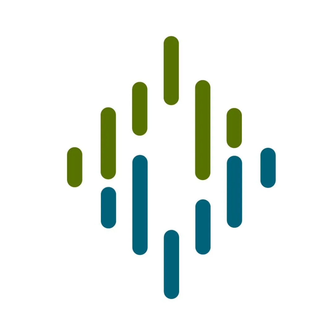 Vasile Elevator logo