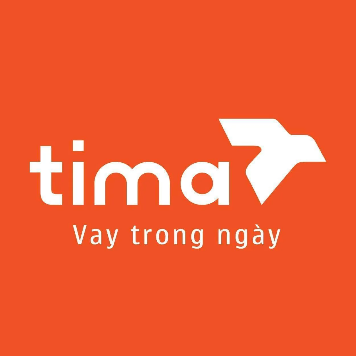 Tima Vay T VN