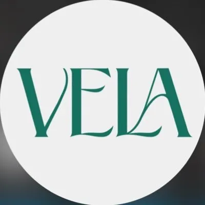 Vela logo