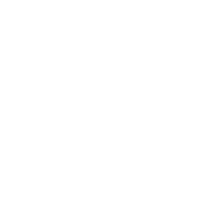 Velvetcaviar light logo