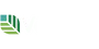 Venzina light logo