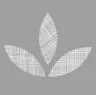 Veraj logo