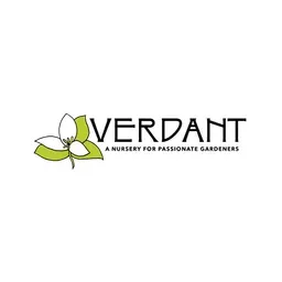 Verdantyakima