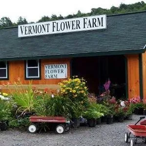 Vermontflowerfarm