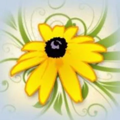 Vermontwildflowerfarm