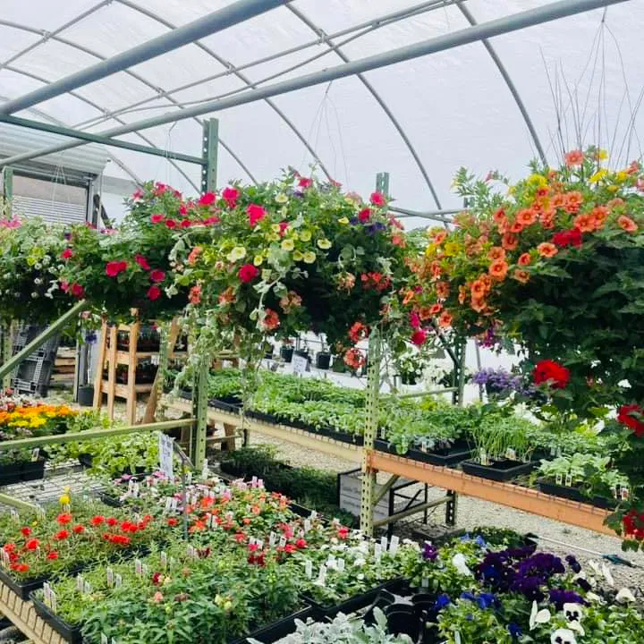 Versaillesfarmgarden