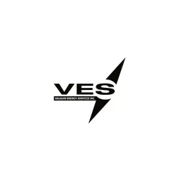 VES Survey International Logo