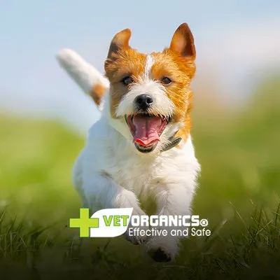 Vet Organics logo