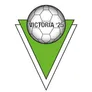 Logo Victoria '25