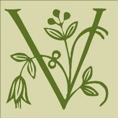 Vidapourtea