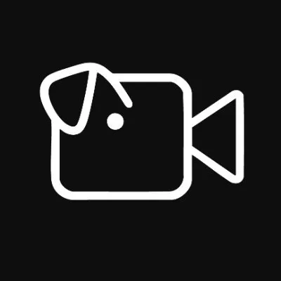 Videoinu