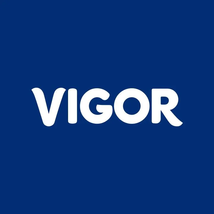 Vigor, LLC logo