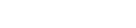 Villadelpalmar light logo