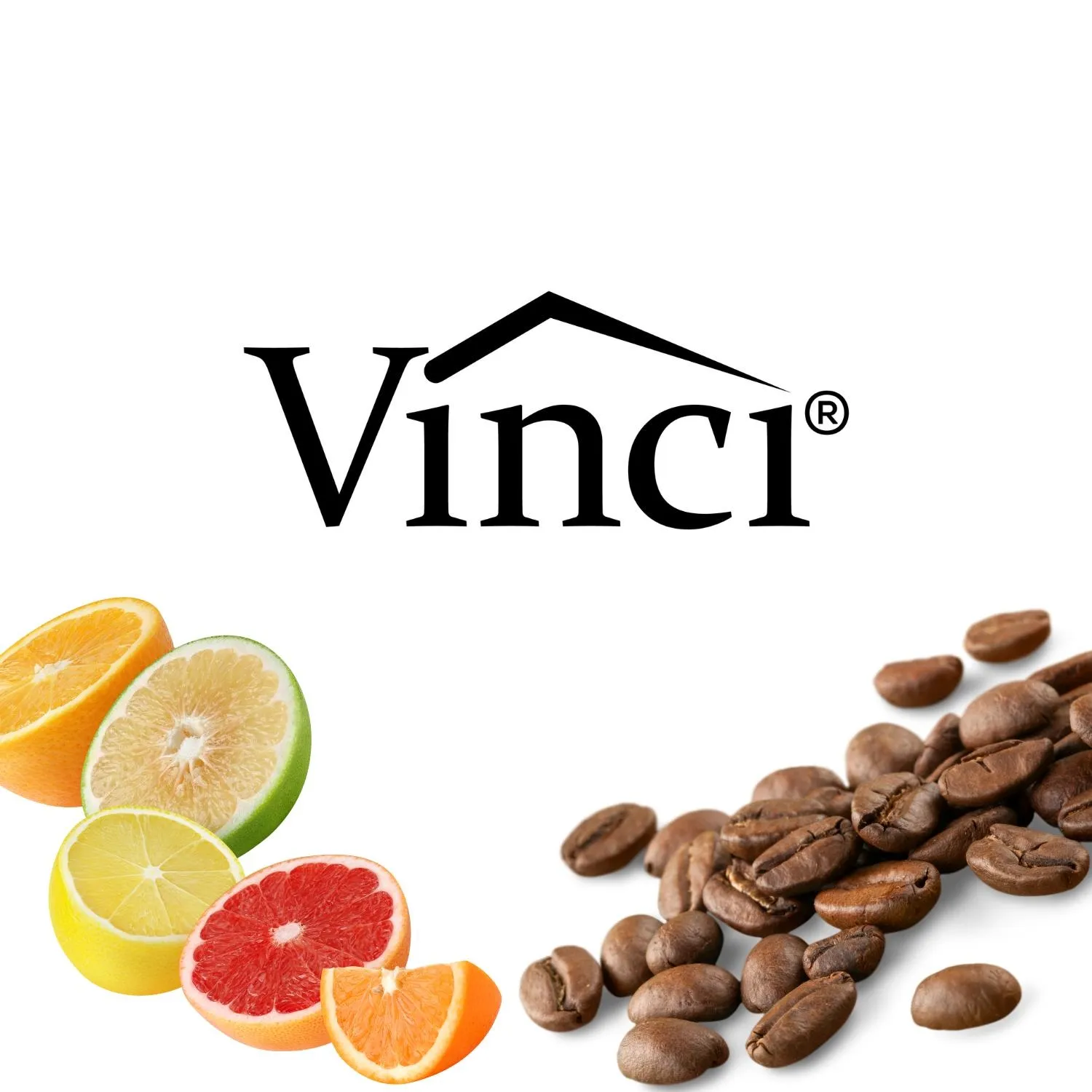 Vincihousewares