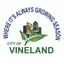 Vineland Municipal Utilities