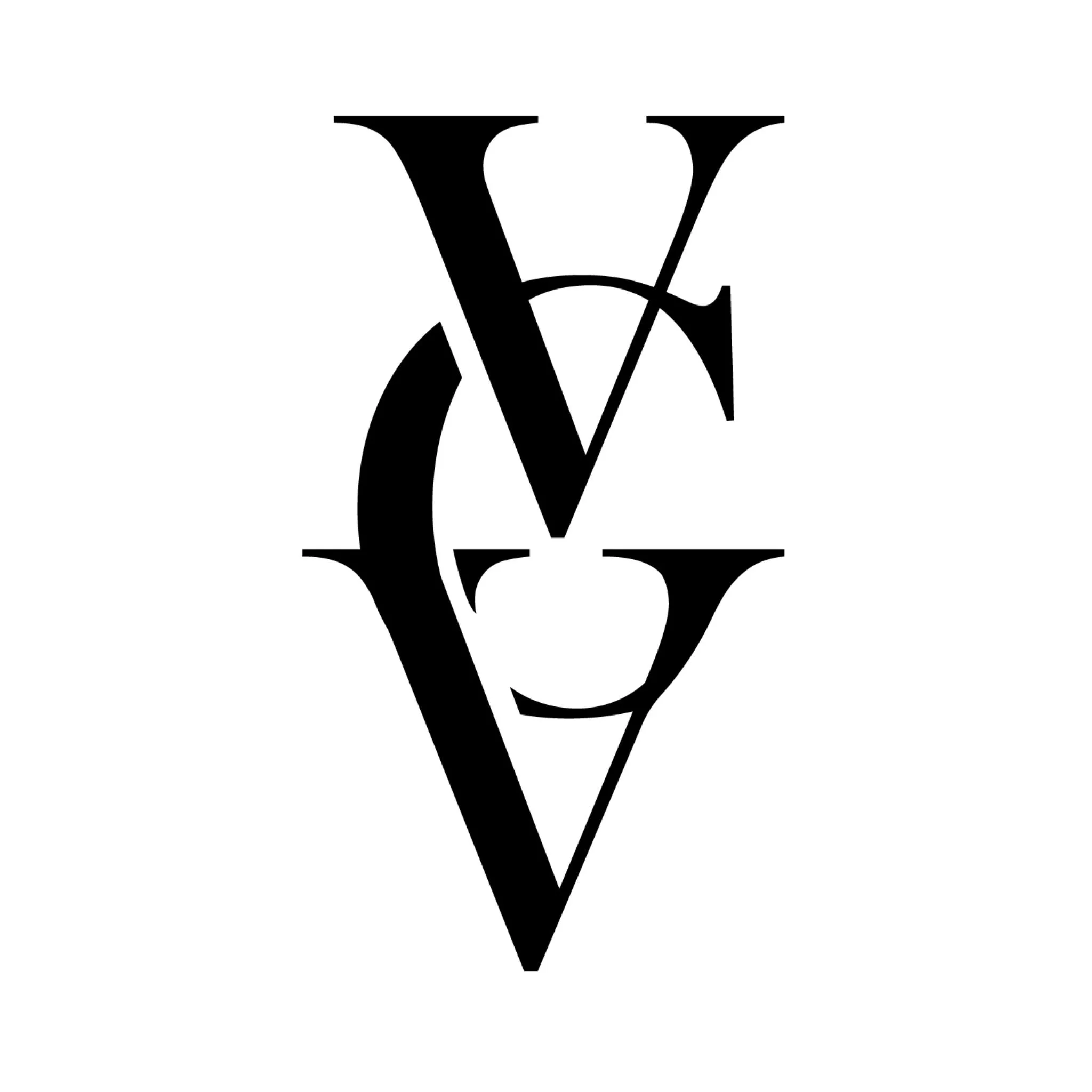 VinGardeValise