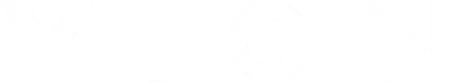 VION light logo