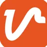 Viribus logo