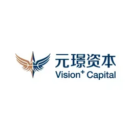 VisionPlus Capital logo