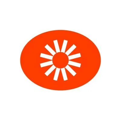 Visual Electric logo