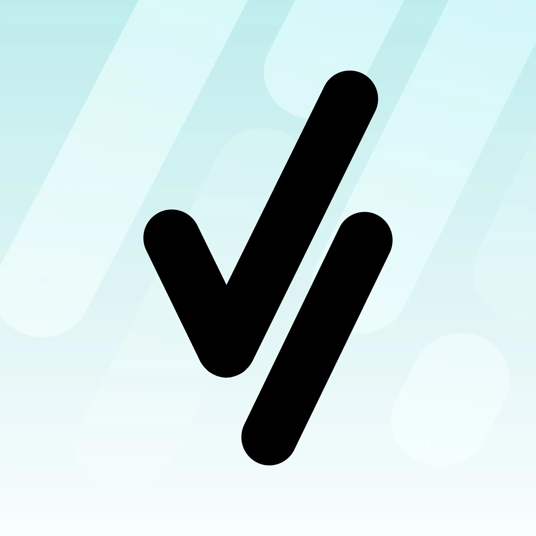 VisualVest