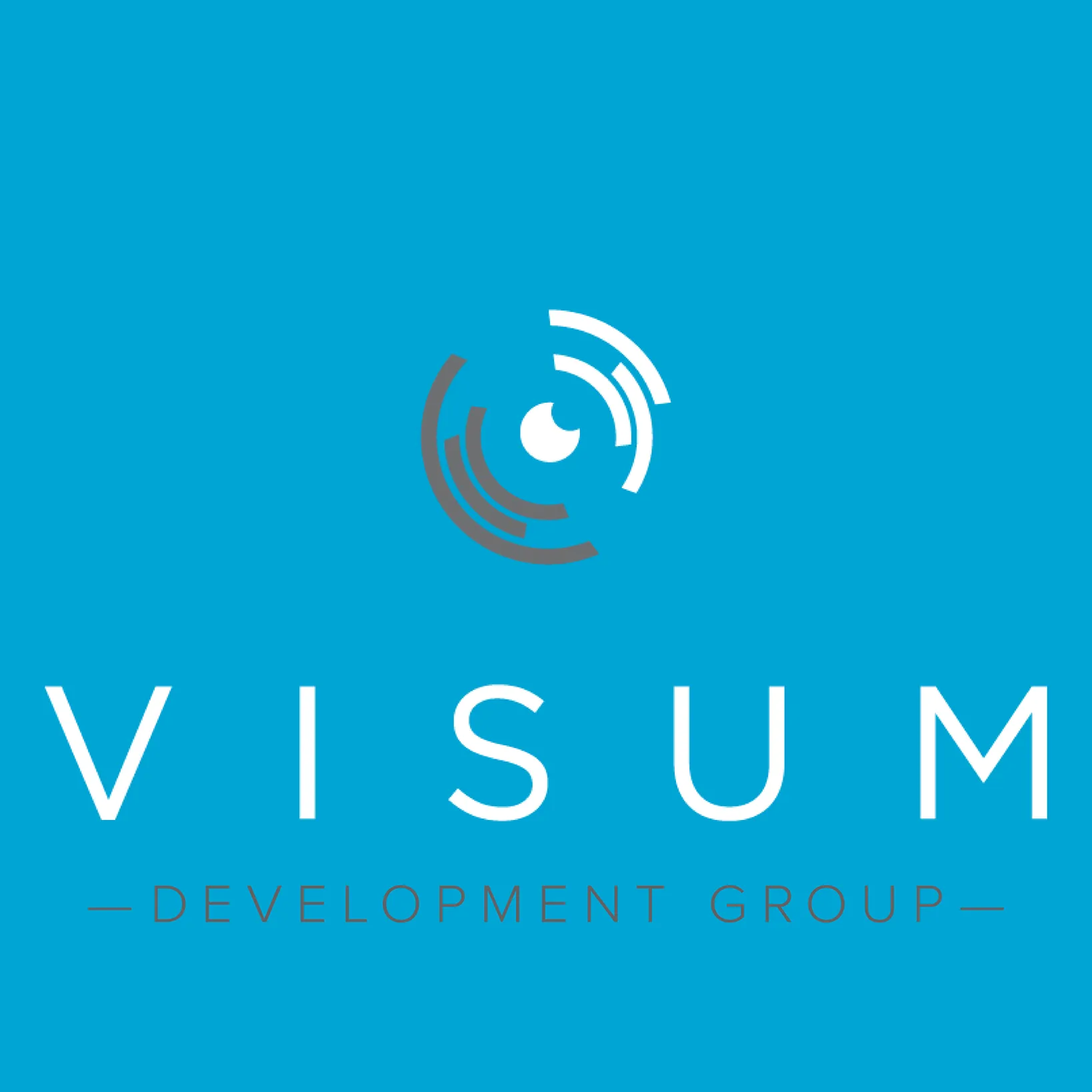 Visum Development Group logo