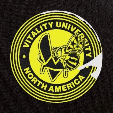 Team Vitality Logo