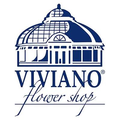 Viviano