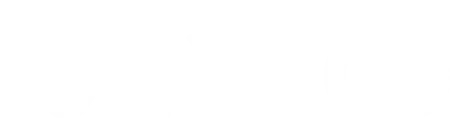 Vivo light logo
