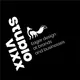 VIXX® Rebranding Agency logo
