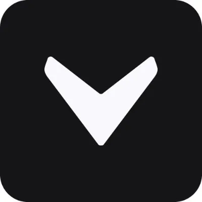 Vizcom Logo