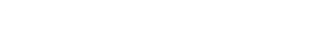 VOC AI light logo
