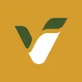 Logo Volentis